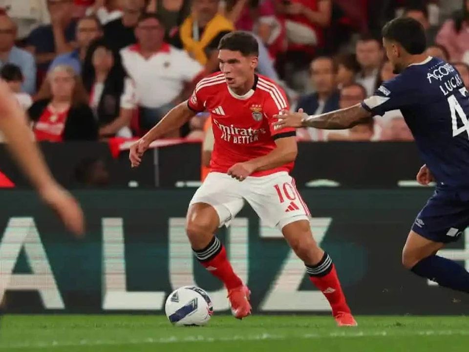 尼古拉斯, 特鲁宾 尼古拉斯, 特鲁宾