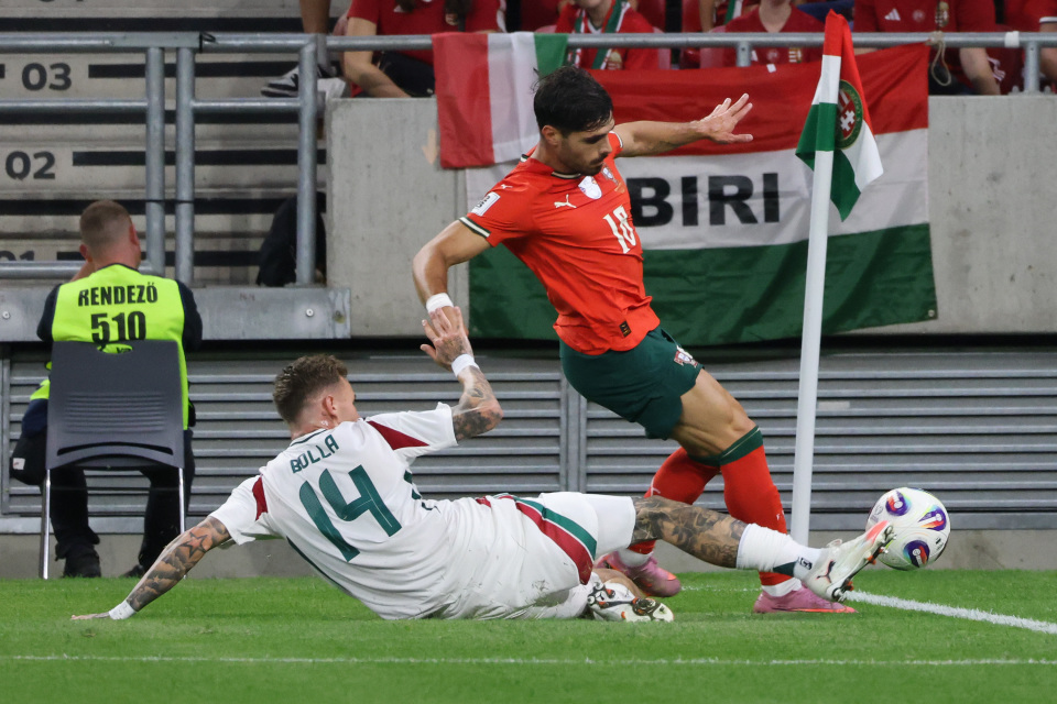 mh, 罗纳尔多持, src